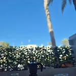 아파트 Summer Terrace Paradise