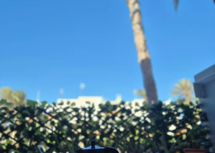 Summer Terrace Paradise Apartment *